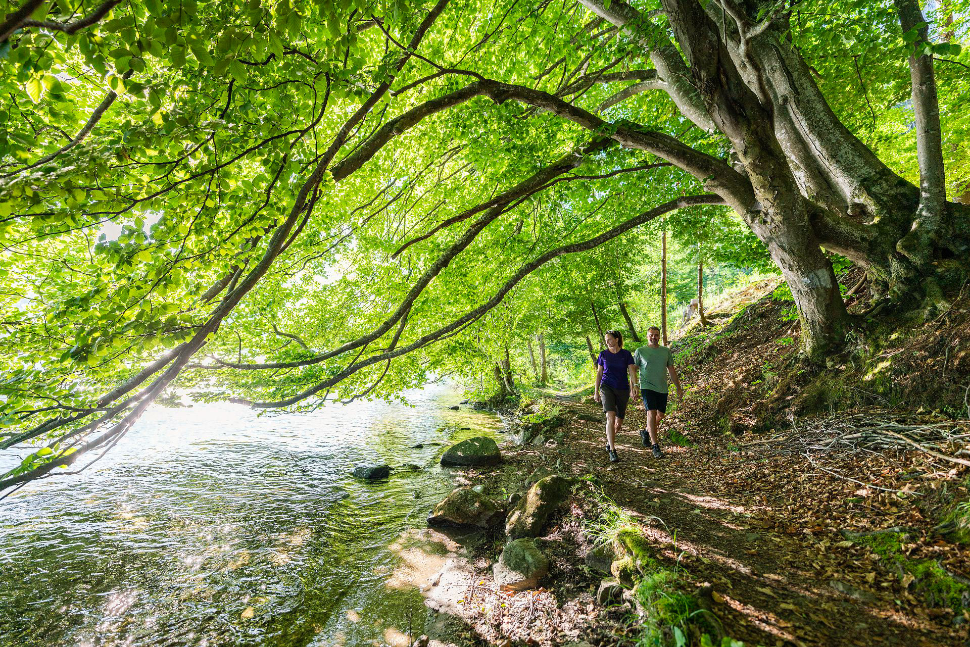 hd-Wandern-am-Slow-Trail-Suedufer-17-gertperauer